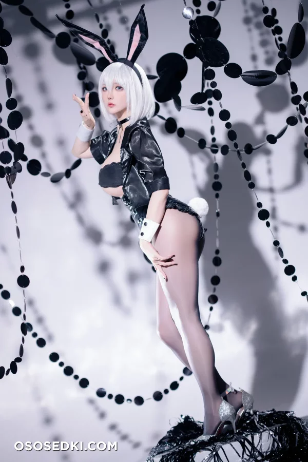 Hoshilily - 2b - Nier Automata - Photo 29