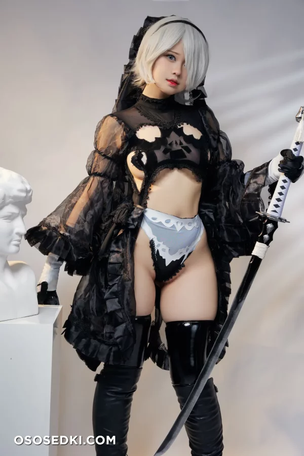 Higashi - 2b - Nier Automata - Photo 1