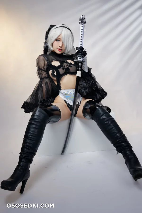 Higashi - 2b - Nier Automata - Photo 15