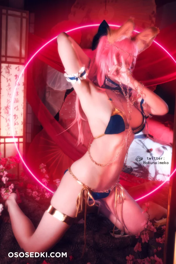 Hokunaimeko - Tamamo No Mae - Fate Grand Order - Photo 47