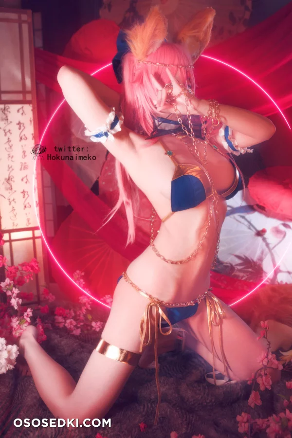 Hokunaimeko - Tamamo No Mae - Fate Grand Order - Photo 48