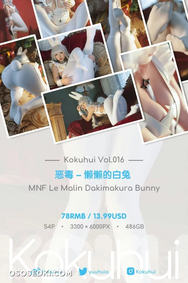 Kokuhui - Le Malin - Azur Lane - Photo 51