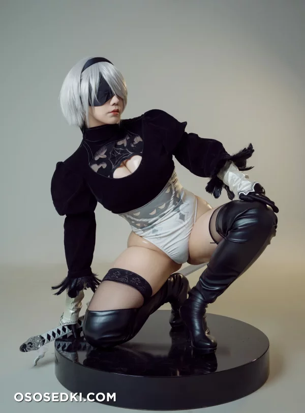 Makachan - 2b - Nier Automata - Photo 14