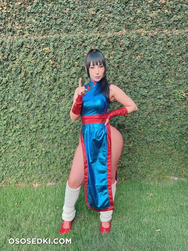 Bonn1ethebunny - Chi Chi - Dragon Ball - Photo 26