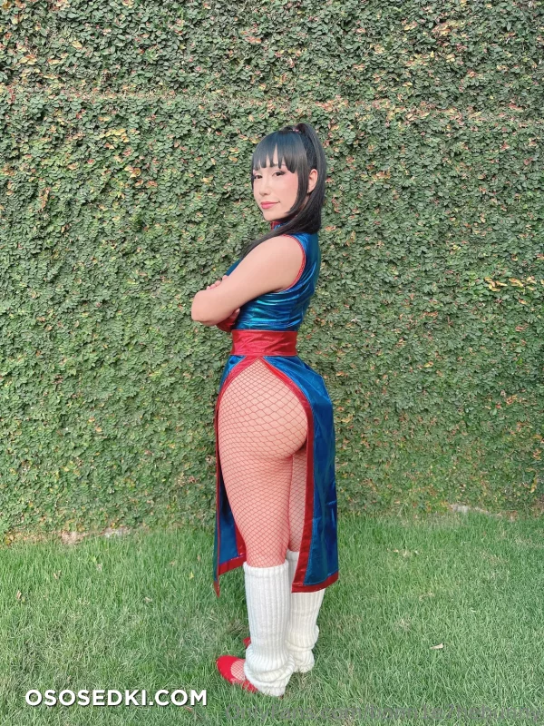 Bonn1ethebunny - Chi Chi - Dragon Ball - Photo 30