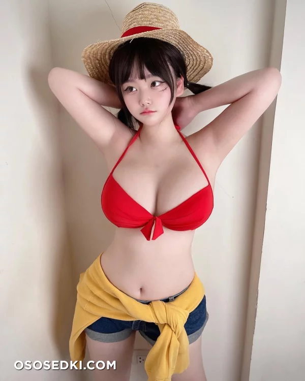 Saizneko - Monkey D. Luffy - One Piece - Photo 2