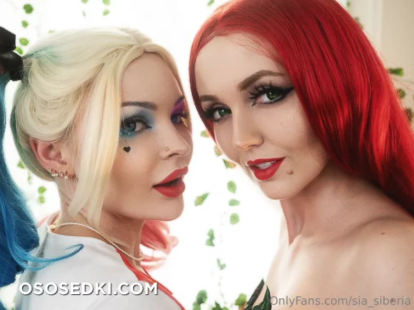 Sia Siberia - Harley Quinn - Batman - Photo 1