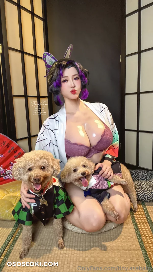 Tiny Asa - Shinobu Kochou - Kimetsu No Yaiba  Demon Slayer - Photo 17