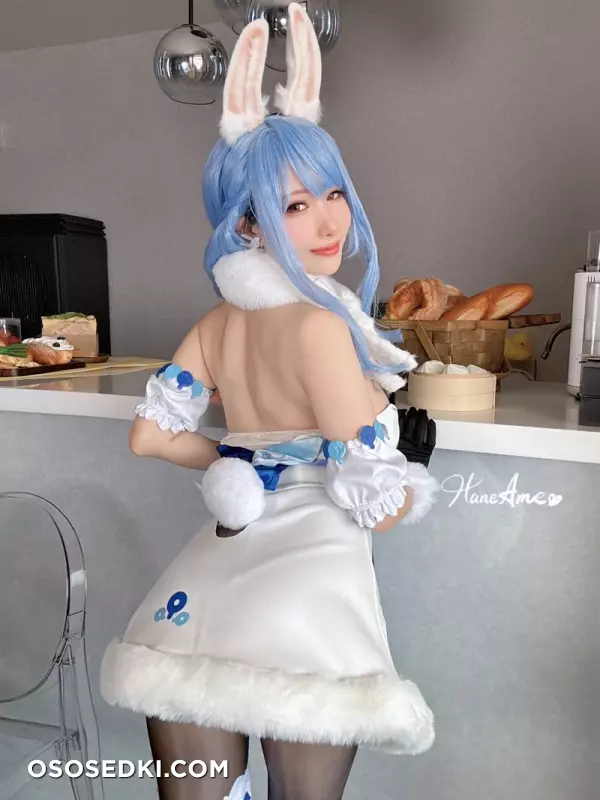 HaneAme - NO_410 - Hololive - Pekora - Photo 9