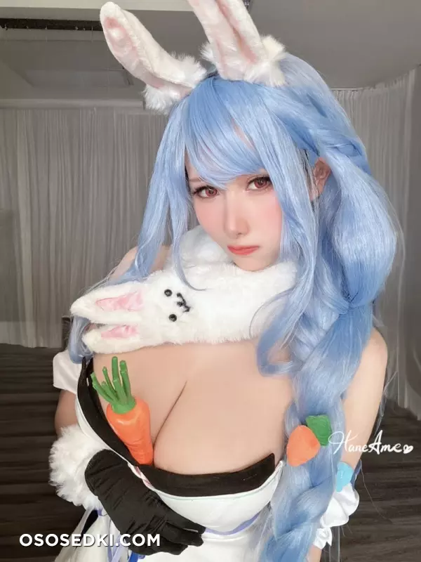 HaneAme - NO_410 - Hololive - Pekora - Photo 13