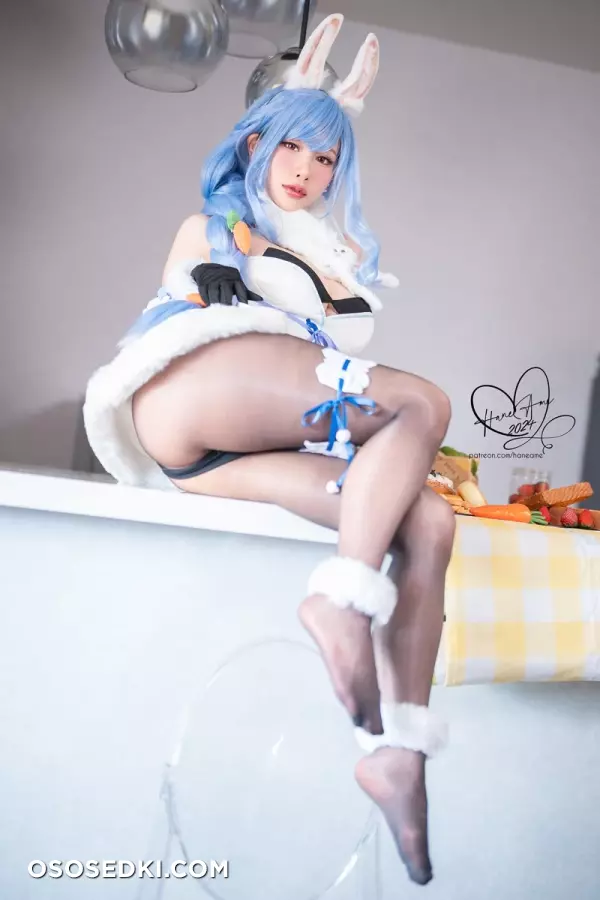HaneAme - NO_410 - Hololive - Pekora - Photo 22