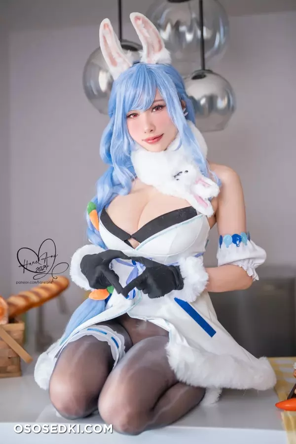 HaneAme - NO_410 - Hololive - Pekora - Photo 25