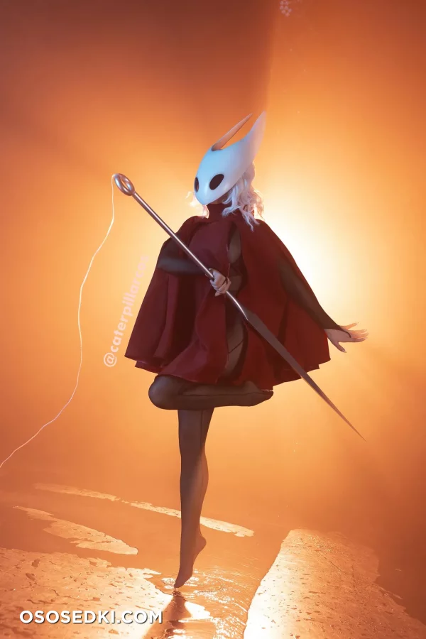 Aleksandra Bodler - Hornet - Hollow Knight - Photo 7