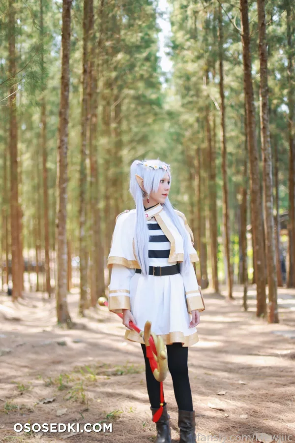 Lmusicl  Mewjiic - Frieren - Sousou No Frieren  Frieren Beyond Journeys End - Photo 1