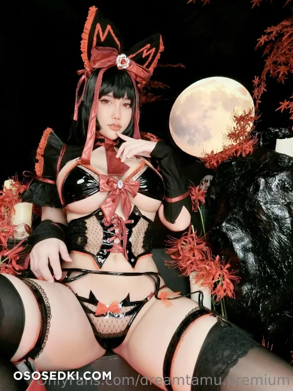 Dreamtamu - Rory Mercury - Gate - Jieitai Kano Chi Nite Kaku Tatakaeri - Photo 8