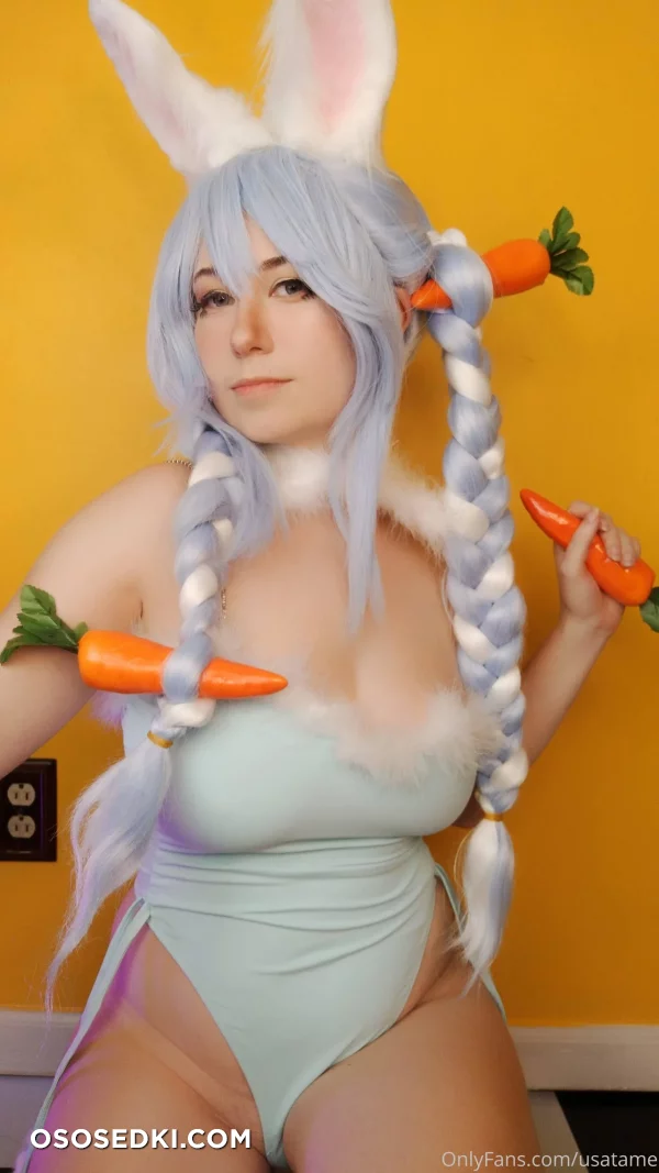 Usatame - Usada Pekora - Hololive - Photo 1