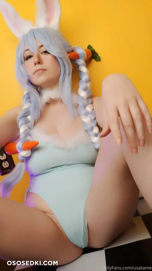 Usatame - Usada Pekora - Hololive - Photo 2