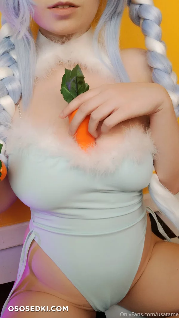 Usatame - Usada Pekora - Hololive - Photo 3