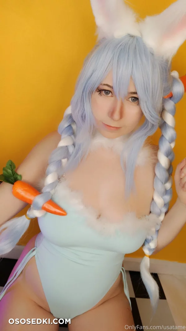 Usatame - Usada Pekora - Hololive - Photo 4