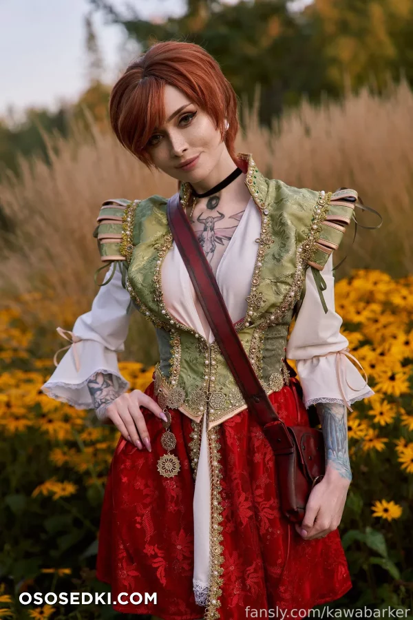 Zirael Rem - Shani - The Witcher - Photo 6