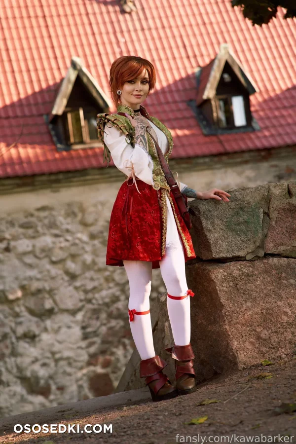 Zirael Rem - Shani - The Witcher - Photo 34