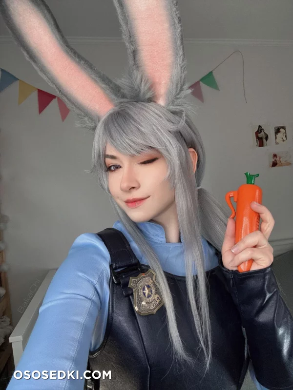 Bakachi - Judy Hopps - Zootopia - Photo 6