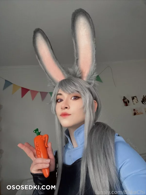 Bakachi - Judy Hopps - Zootopia - Photo 7