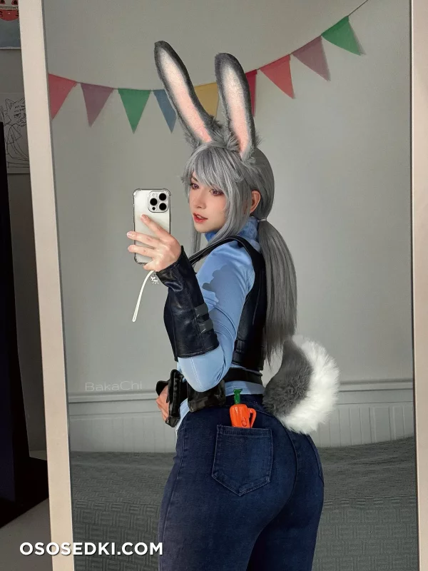 Bakachi - Judy Hopps - Zootopia - Photo 9