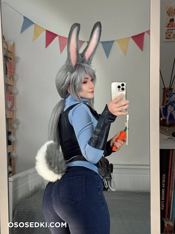 Bakachi - Judy Hopps - Zootopia - Photo 10