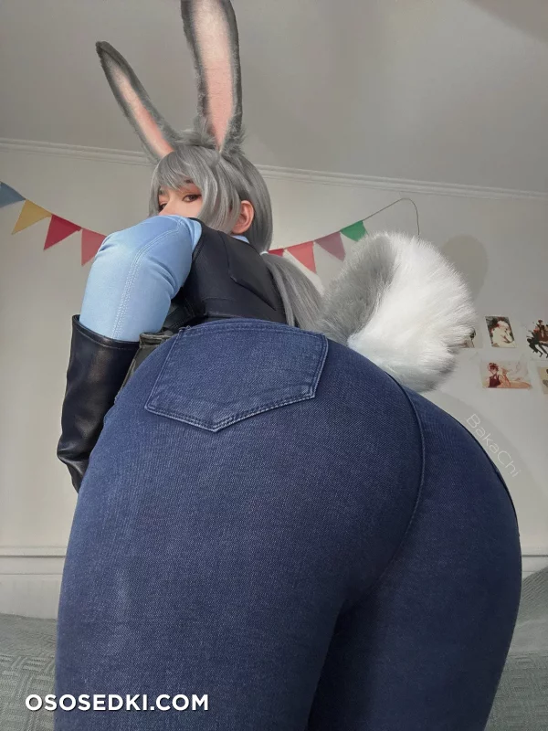 Bakachi - Judy Hopps - Zootopia - Photo 11