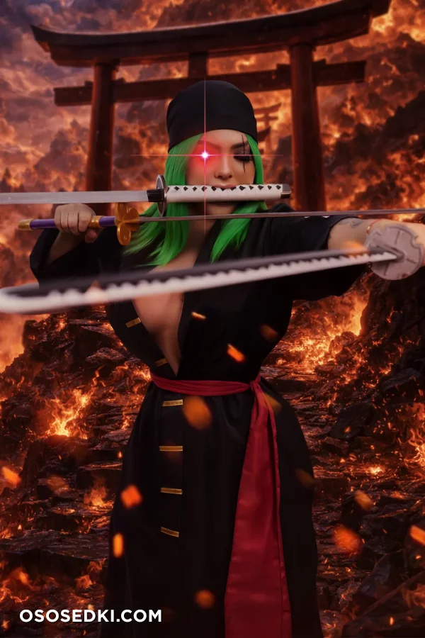 Gundamchick - Roronoa Zoro - One Piece - Photo 4