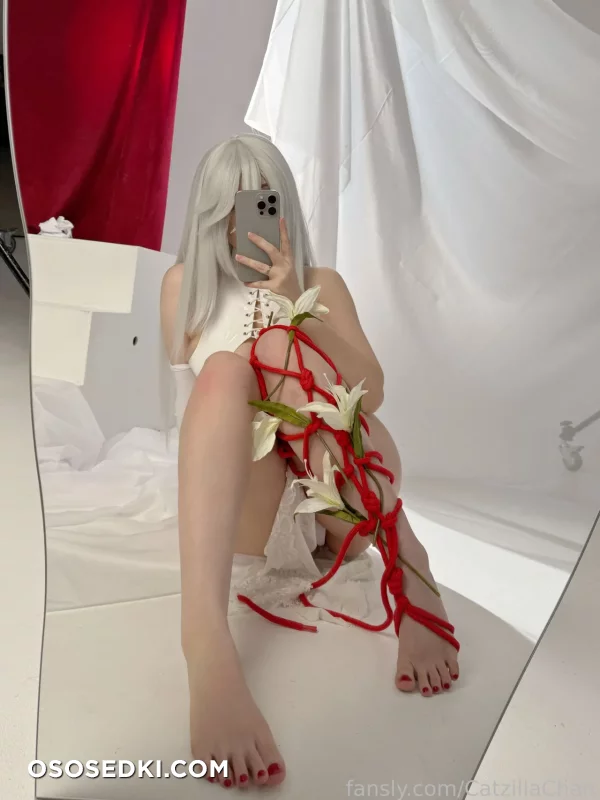 Catzillachan - A2 - Nier Automata - Photo 17
