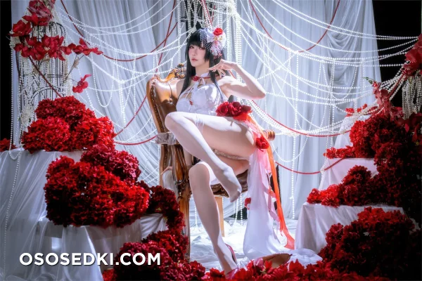 Hoshilily - Mihara - Goddess Of Victory Nikke - Photo 2