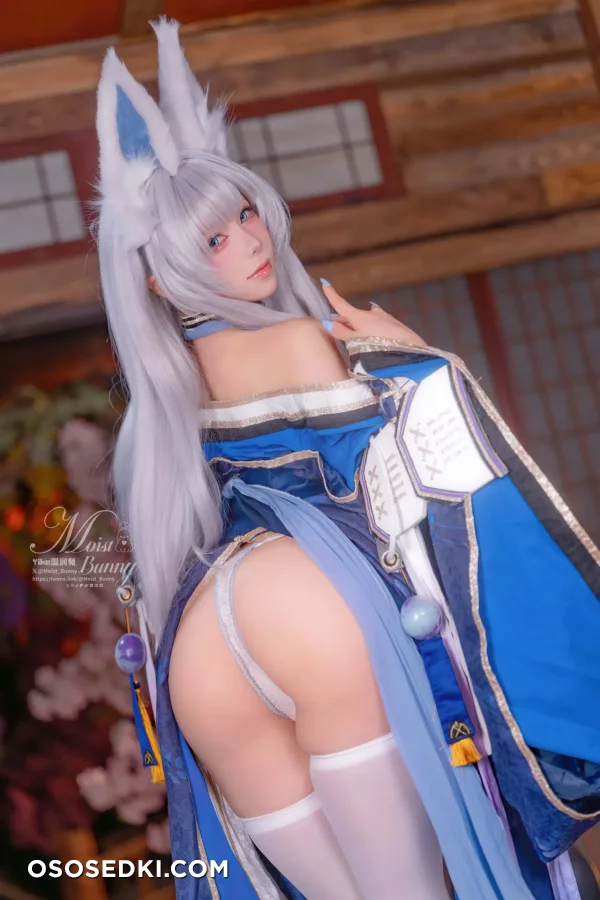 Yaokoututu  Niantutu - Shinano - Azur Lane - Photo 12