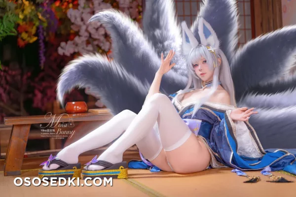 Yaokoututu  Niantutu - Shinano - Azur Lane - Photo 16