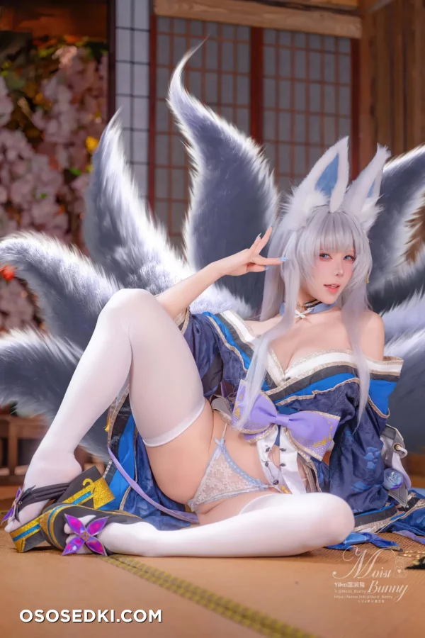 Yaokoututu  Niantutu - Shinano - Azur Lane - Photo 17