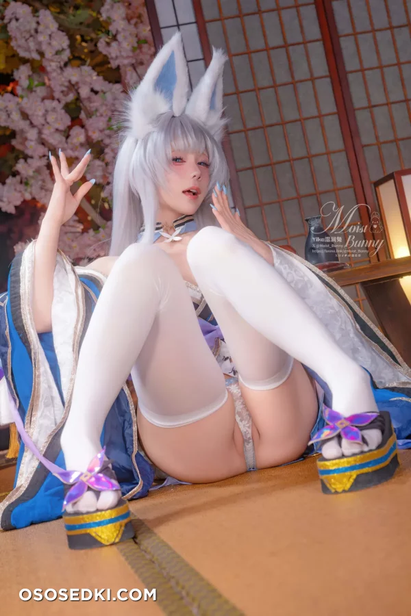 Yaokoututu  Niantutu - Shinano - Azur Lane - Photo 19