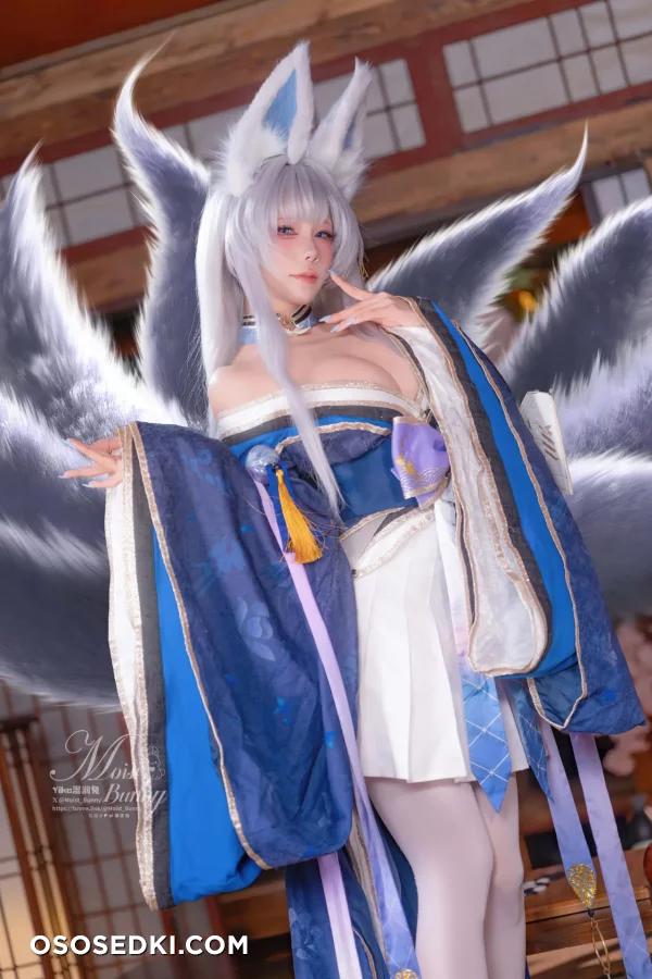 Yaokoututu  Niantutu - Shinano - Azur Lane - Photo 23