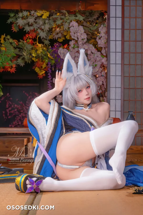 Yaokoututu  Niantutu - Shinano - Azur Lane - Photo 24