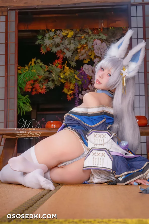 Yaokoututu  Niantutu - Shinano - Azur Lane - Photo 30