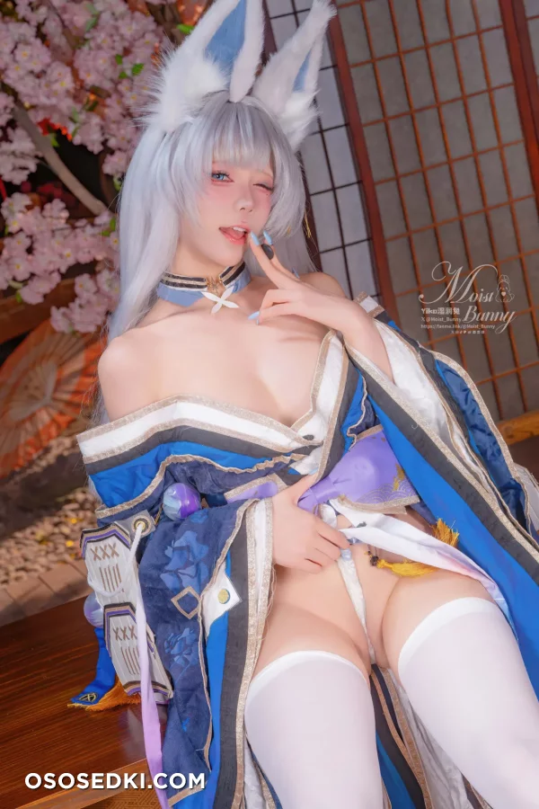 Yaokoututu  Niantutu - Shinano - Azur Lane - Photo 38