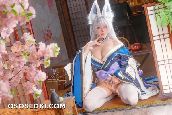 Yaokoututu  Niantutu - Shinano - Azur Lane - Photo 41