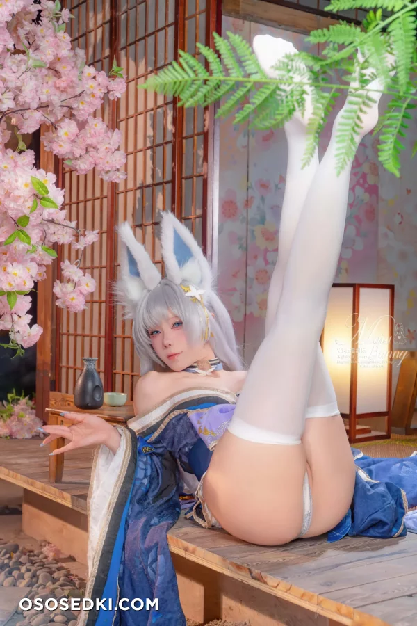 Yaokoututu  Niantutu - Shinano - Azur Lane - Photo 46