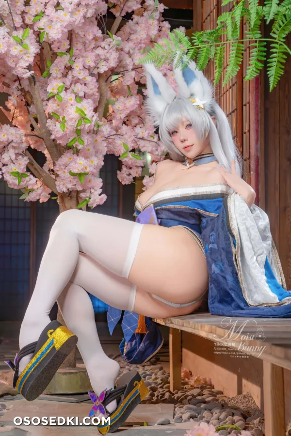 Yaokoututu  Niantutu - Shinano - Azur Lane - Photo 49