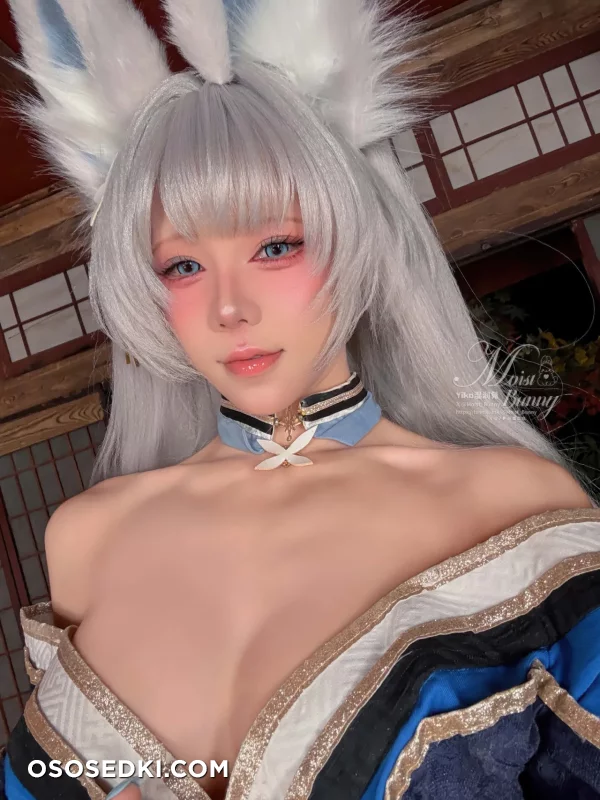 Yaokoututu  Niantutu - Shinano - Azur Lane - Photo 102