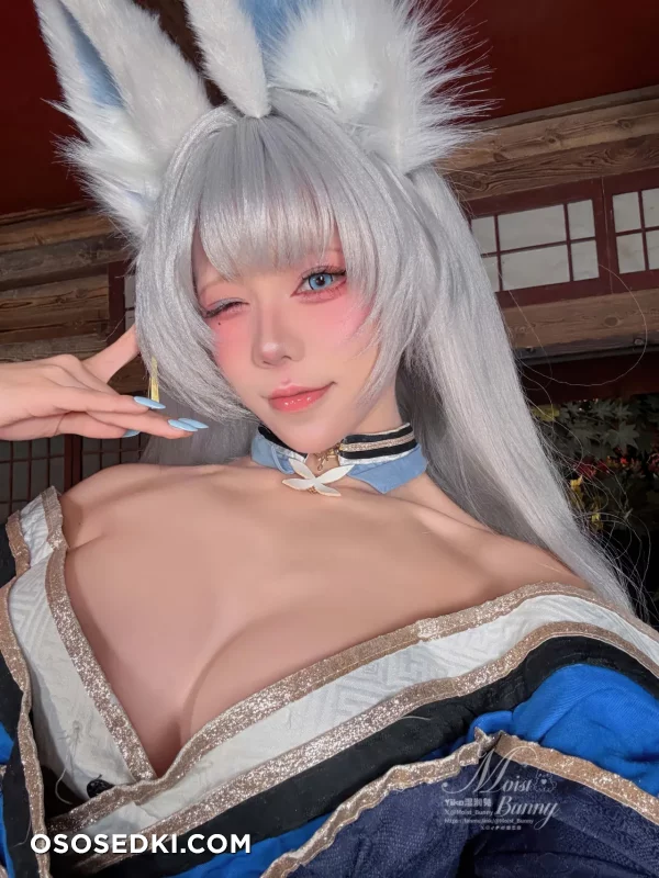 Yaokoututu  Niantutu - Shinano - Azur Lane - Photo 105