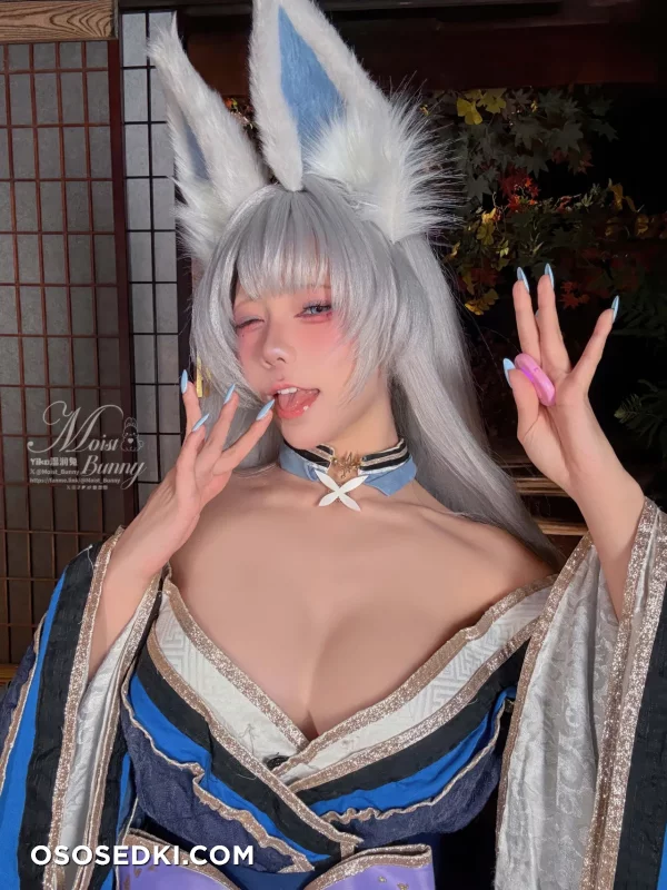 Yaokoututu  Niantutu - Shinano - Azur Lane - Photo 106