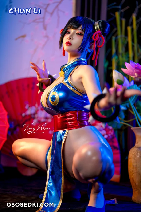 Tiny Asa - Chun li - Photo 13