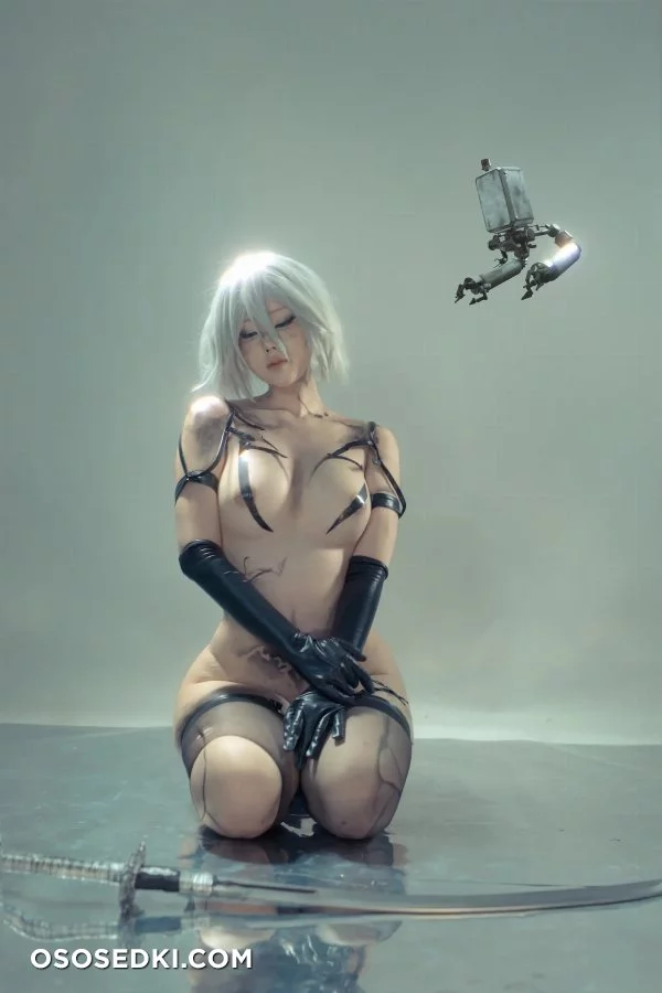 Titi Cosplay - 2b - Nier Automata - Photo 70