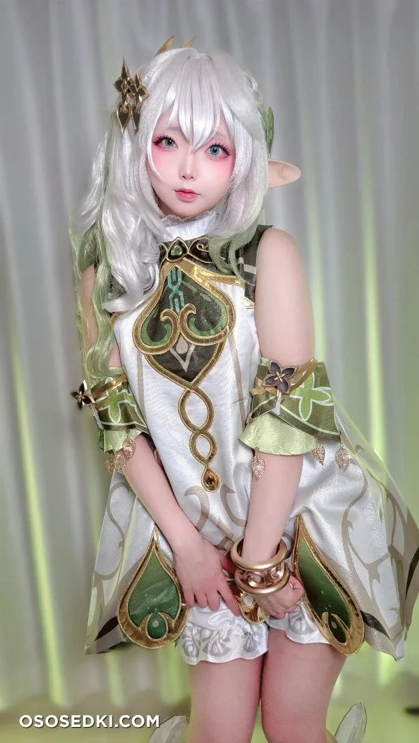 Chuchu Nagomitei - Nahida - Genshin Impact - Photo 18